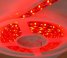 thumbnail_3528_red12840696954c89593f36b50.jpg