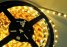 thumbnail_3528_yellow12840716414c8960d928a2f.jpg