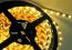 thumbnail_3528_yellow12840716414c8960d9291b0_clone_.jpg