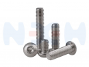 thumbnail_Button_HEX_Screw-many-nem1497896171594814ebcbbc2.png