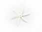 thumbnail_Gemfan-6blade-5040-1.jpg