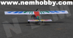 thumbnail_pilatus_bird_22.png