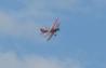 thumbnail_pitts-5.jpg